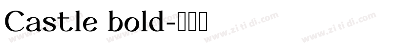 Castle bold字体转换